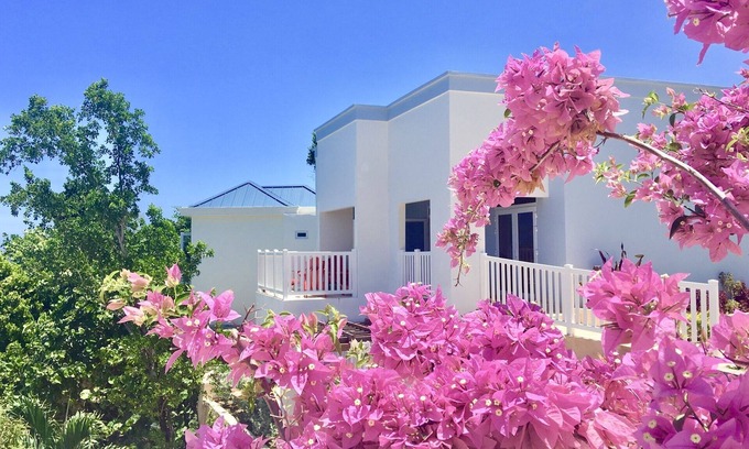 Boscobel Villa | ocean front villa, 7bed with chef/housekeeping service.