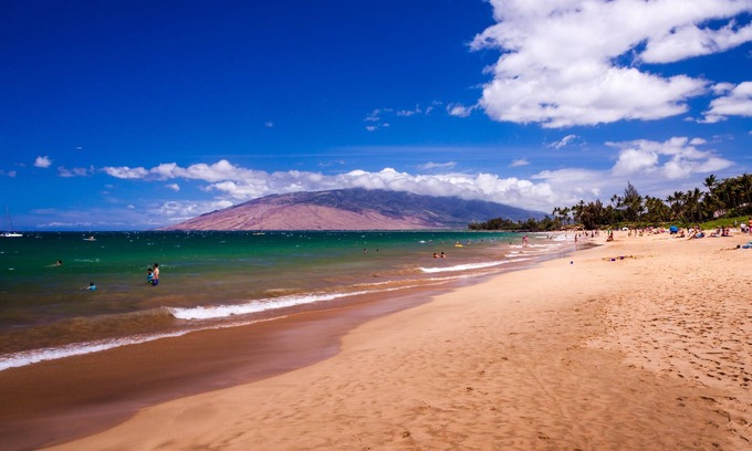 Kihei Condo | Ocean view! 3 Bedrooms! Great Location!