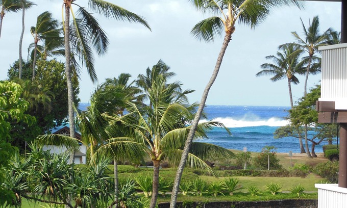 Poipu Condo | Ocean View End Unit Air Conditioning/Unit #239 bldg 36 .3 min.walk to beach.