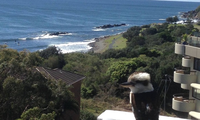 Forster Apartment | Ocean View Penthouse
