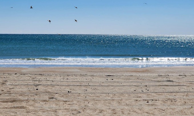 Morehead City Condo | Oceanfront complex, two pools, beach access, and king bed!