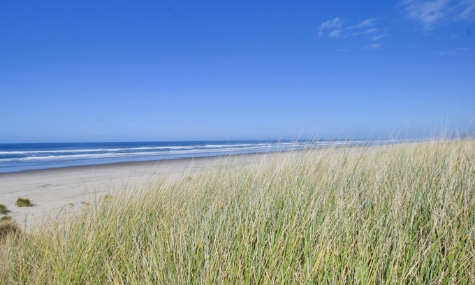 Bayshore House | Oceanfront Home with Bay Views, Free WiFi, Gas Grill & Gas Fireplace