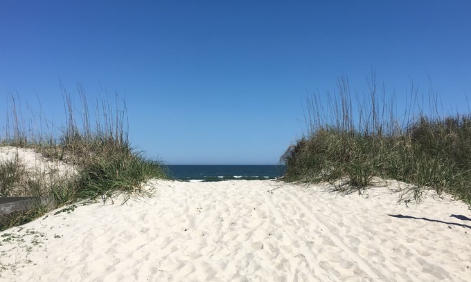 North Carolina Coast Condo | Oceanfront+Pet-friendly+1st floor+Near North End Pier & Freeman Park