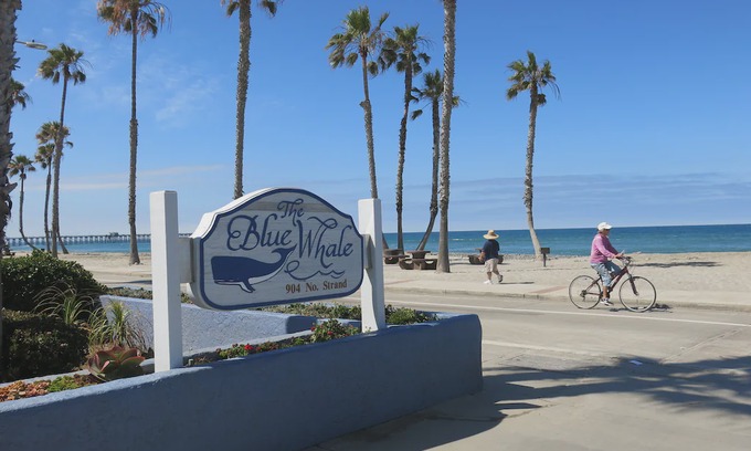 Townsite Resort | OCEANFRONT RESO1-bedroom at the Blue Whale, Family-friendly & Right on the Beach