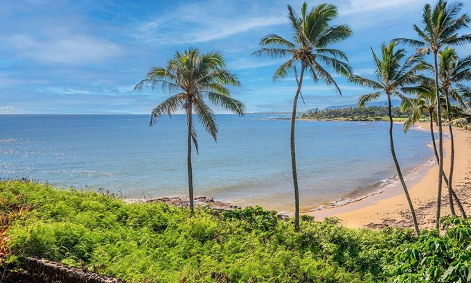 Wailua House Lots Condo | Oceanfront Wailua Bayview 203