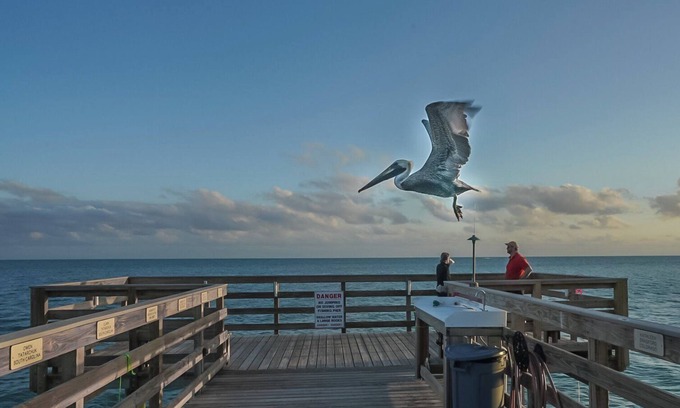 Key Colony Beach Condo | Oceanview Condo in Key Colony Beach