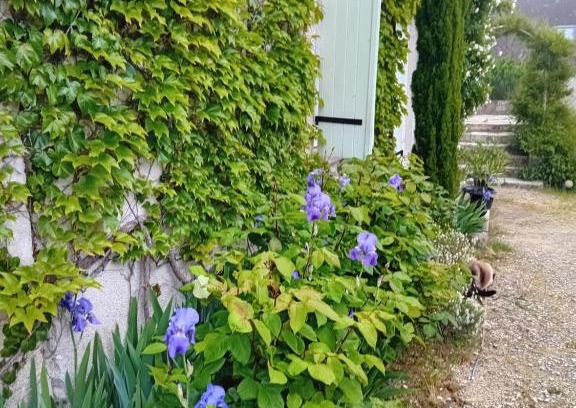 Saint-Georges-sur-Cher Bed & Breakfast | Ode au Bonheur St Georges sur Cher