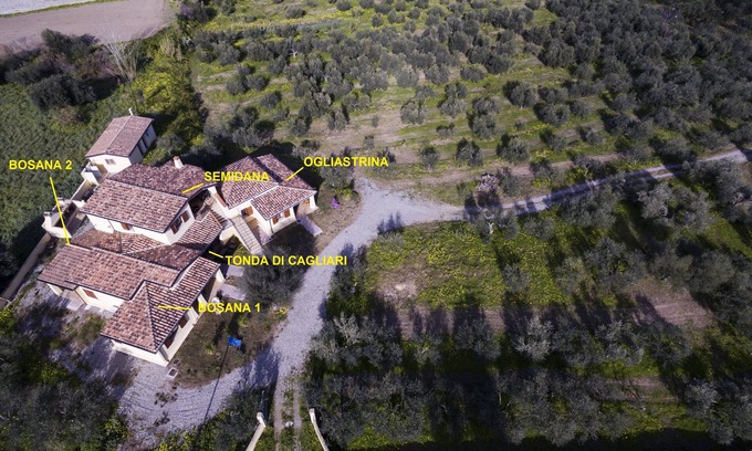 Cardedu Apartment | Ogliastrina apartment
