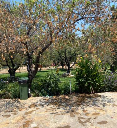 Datca Apartment | Okyanus apart second floor number 7