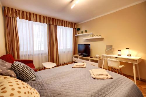 Cheb Apartment | Old Town Apartment