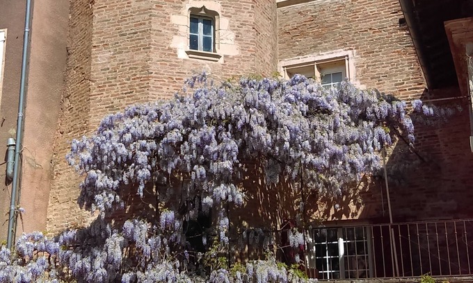 Gaillac House | Old townhouse for 2-3 people