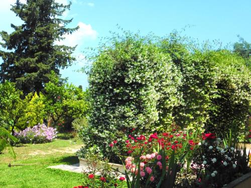 Perama House | Olga's Hill