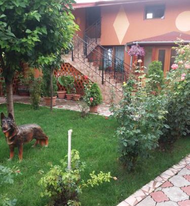 Alba Iulia Apartment | Olimpia Apartments