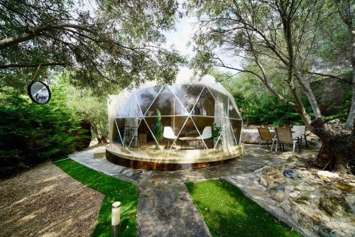 Nea Moudania Other | Olive Domes