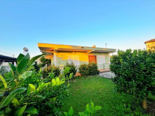 Rade House | OLIVE Home