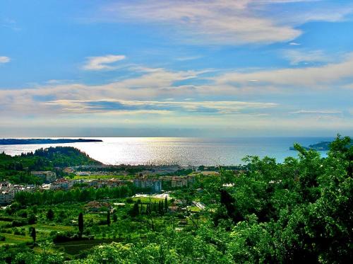 Lucija Apartment | OLIVE HOUSe PORTOROŽ