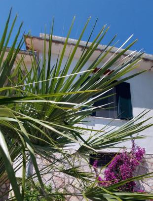 Monte Sant'Angelo Apartment | Olivo Macchia