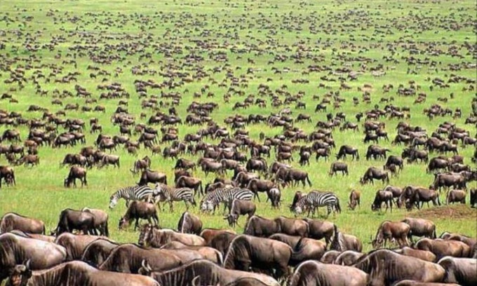 Narok Cottage | oloiren safari camp