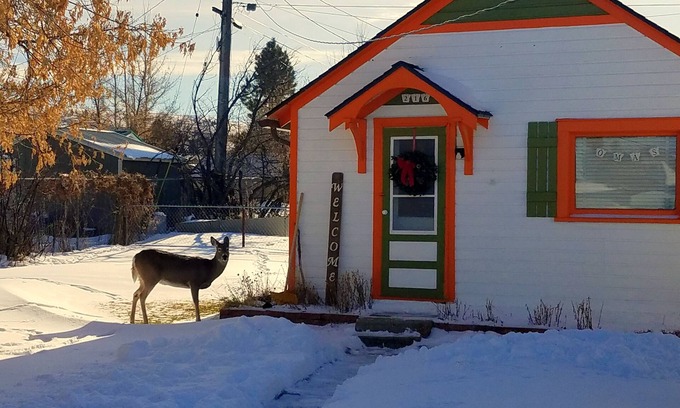 Red Lodge Cottage | Oma's 1890 Cottage with Hot Tub & Sauna in Red Lodge Montana