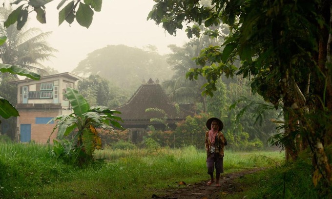 Balangan House | Omah minggir