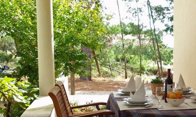 Verunic Apartment | One bedroom apartment near beach Verunić, Dugi otok (A-8103-b)
