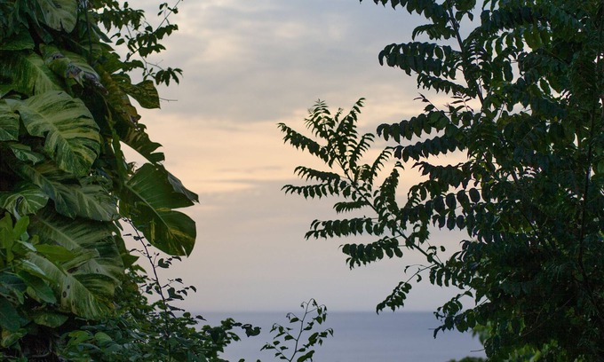 Port Antonio Villa | One Bedroom Sea View Villa, Frenchman's Cove Resort