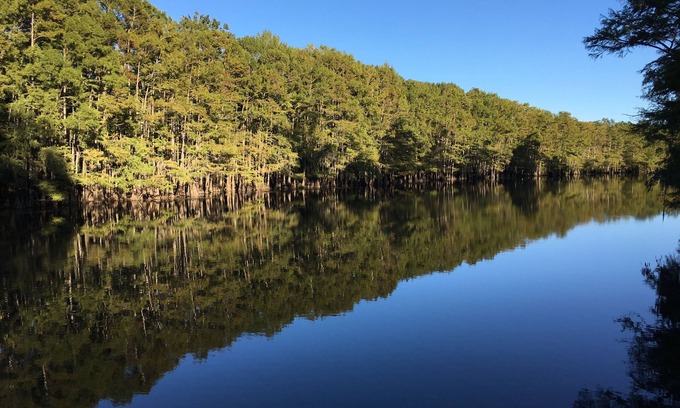 Jefferson House | One of a Kind-Get Away/Big Cypress Bayou Near Jefferson&Caddo