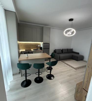 Bistrita Apartment | One Studio