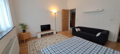 Plasky House | Opale Europe