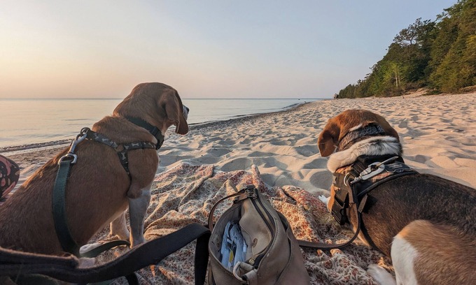 Charlevoix Cottage | Open, bright, pet-friendly cottage w/AC - walking distance to beaches & town!