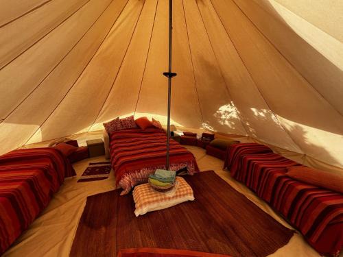 Quartu Sant'Elena Other | Orange Tent - In Our Garden