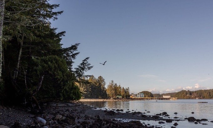 Ucluelet Cabin | Orca Cabin I West Coast Trail I Pets I Big Beach