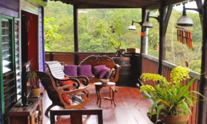 Deshaies House | -----Orchid-------