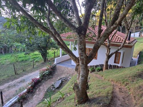 Monteiro Lobato House | Orobó Kaá - entre a floresta e a vida no campo