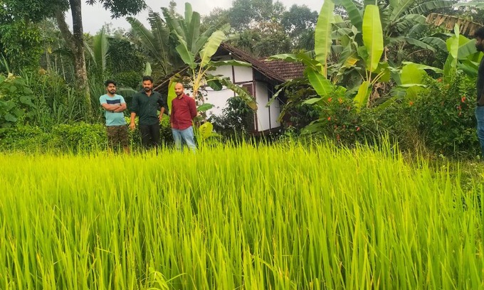 Vayittiri House | Oryza