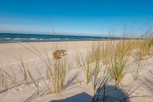 Pruchten House | Ostsee