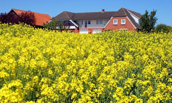 Suessau Apartment | Ostsee mit Kind, Hund und Freunden