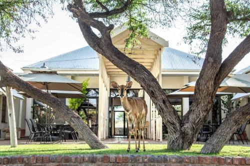 Otjiwarongo Cabin | Otjibamba Lodge