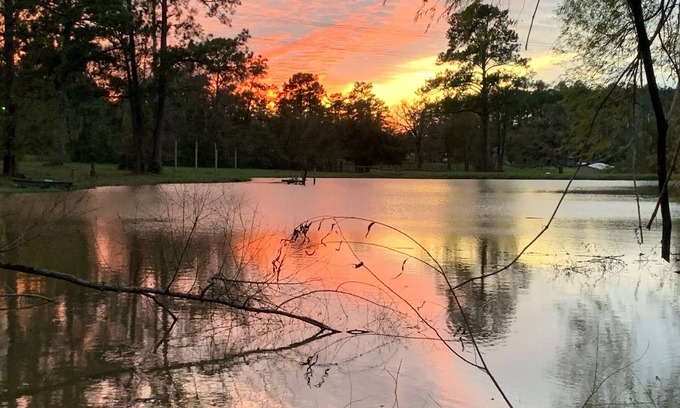 Willis House | Our Happy Place Farm - 2 Bedroom Cabin near Lake Conroe