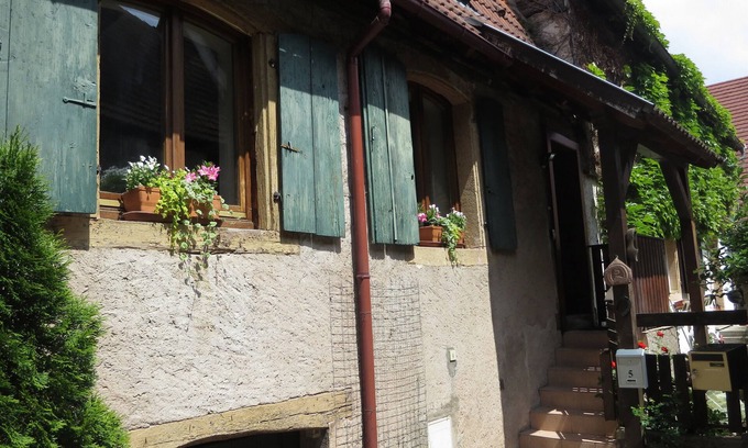 Dambach-la-Ville House | Owl typical house with private terrace