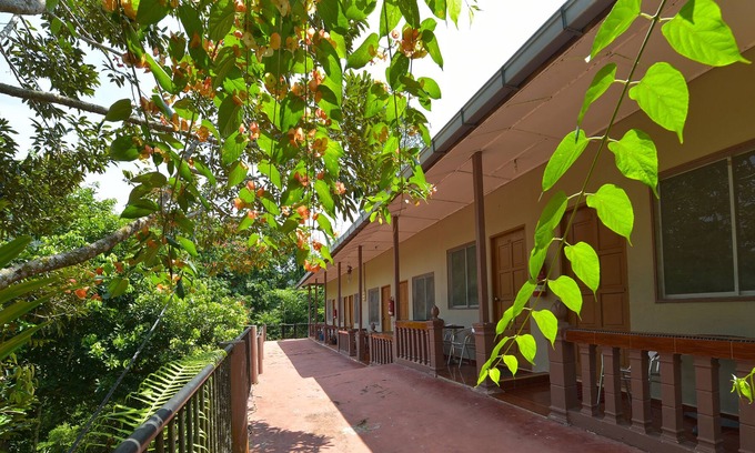 Kuala Tahan Hotel | OYO 90630 Mat Leon Village