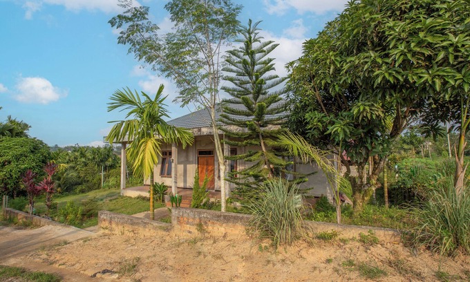 Jambi Hotel | OYO 92587 Homestay Romauli Kampung Radja