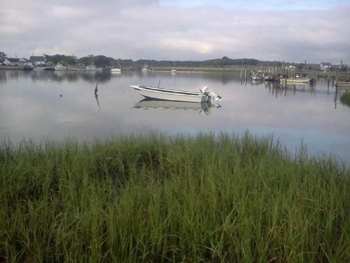 Cape Charles House | Oyster Cottage in Historic Fishing Village cottage