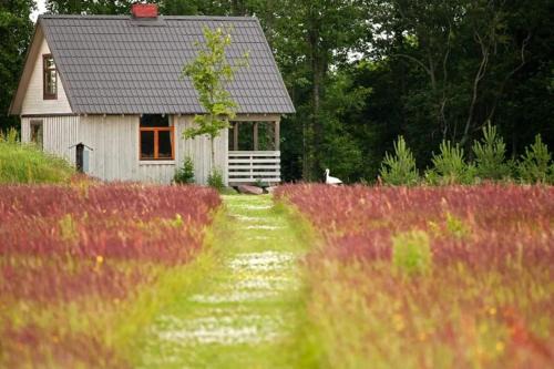 Jurkalne House | Ozoliņi