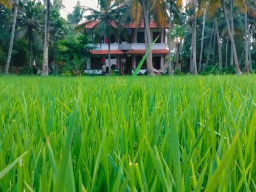 Varkala Resort | Paddy Farm Beach Resort