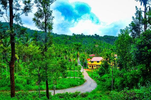 Naduvattam Resort | Palm Resort