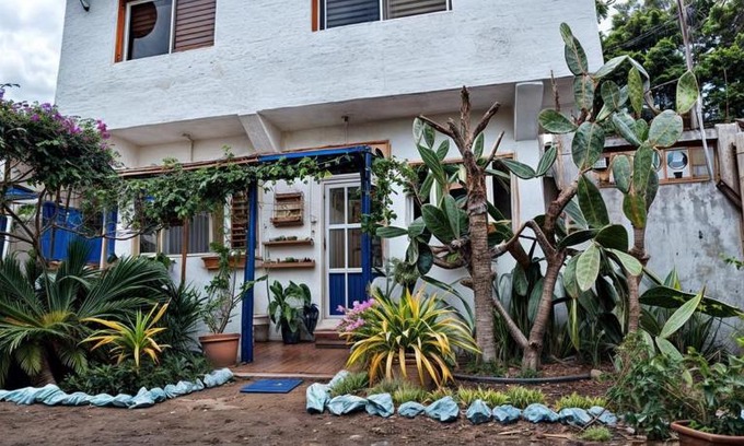 Puerto Baquerizo Moreno Cabin | Palma del Mar 2