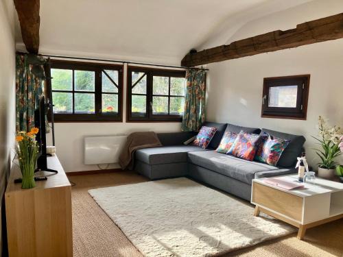 Figeac Apartment | Paloma