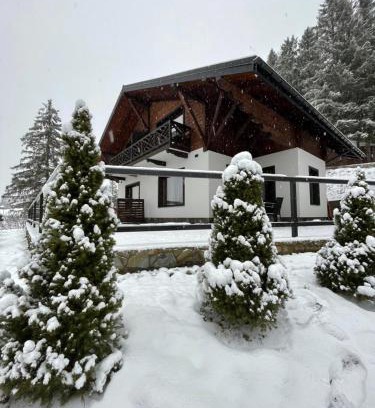 Slavske Ski Chalet | Panorama