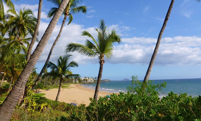 Kihei Condo | PANORAMIC OCEANVIEW PENTHOUSE - ISLAND SURF - Heart of South Maui.
